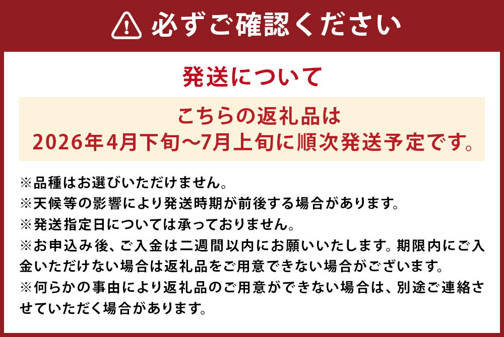 【ふるさと納税】大玉すいか 1玉 約8kg 品種おまかせ ランダム すいか 西瓜 フルーツ 果物 益城すいか 熊本県産 益城町産 九州産 送料無料【2026年4月下旬～7月上旬に発送予定】 サムネイル3