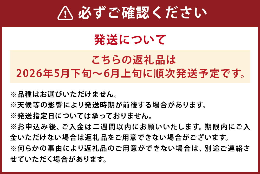 【ふるさと納税】小玉すいか 2玉 約1.5kg×2玉 合計約3kg 品種おまかせ ランダム すいか 西瓜 フルーツ 果物 益城すいか 熊本県産 益城町産 九州産 送料無料【2026年5月下旬～6月上旬に発送予定】 サムネイル3