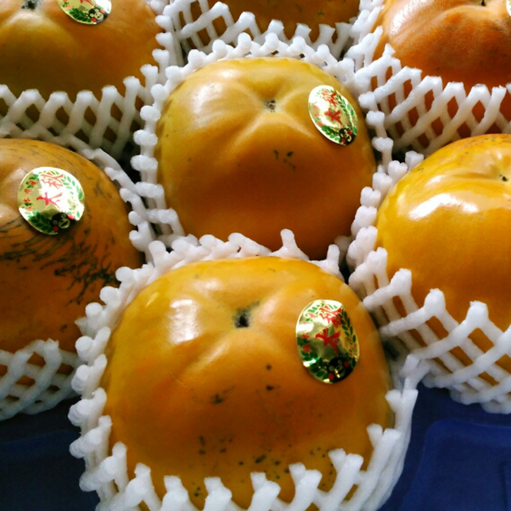 太秋柿 約3kg 8～16玉入り 柿 果物 フルーツ 熊本県産 益城町産 九州産 送料無料【2025年10月上旬～11月上旬に発送予定】