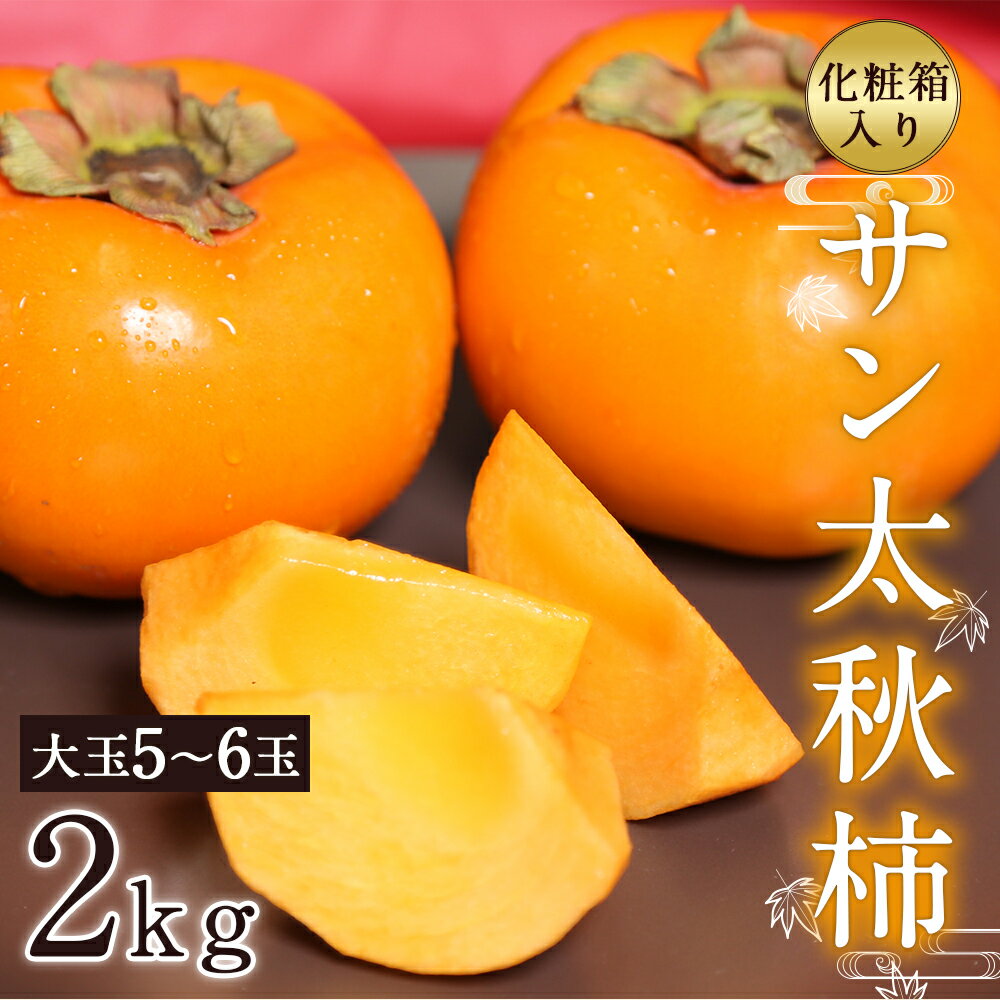 【ふるさと納税】サン太秋 約2kg 大玉5～6玉 柿 太秋柿 かき カキ 果物 フルーツ 九州産 熊本 化粧箱 ギフト 贈り物 送料無料【2025年10月下旬～12月上旬発送予定】 サムネイル2