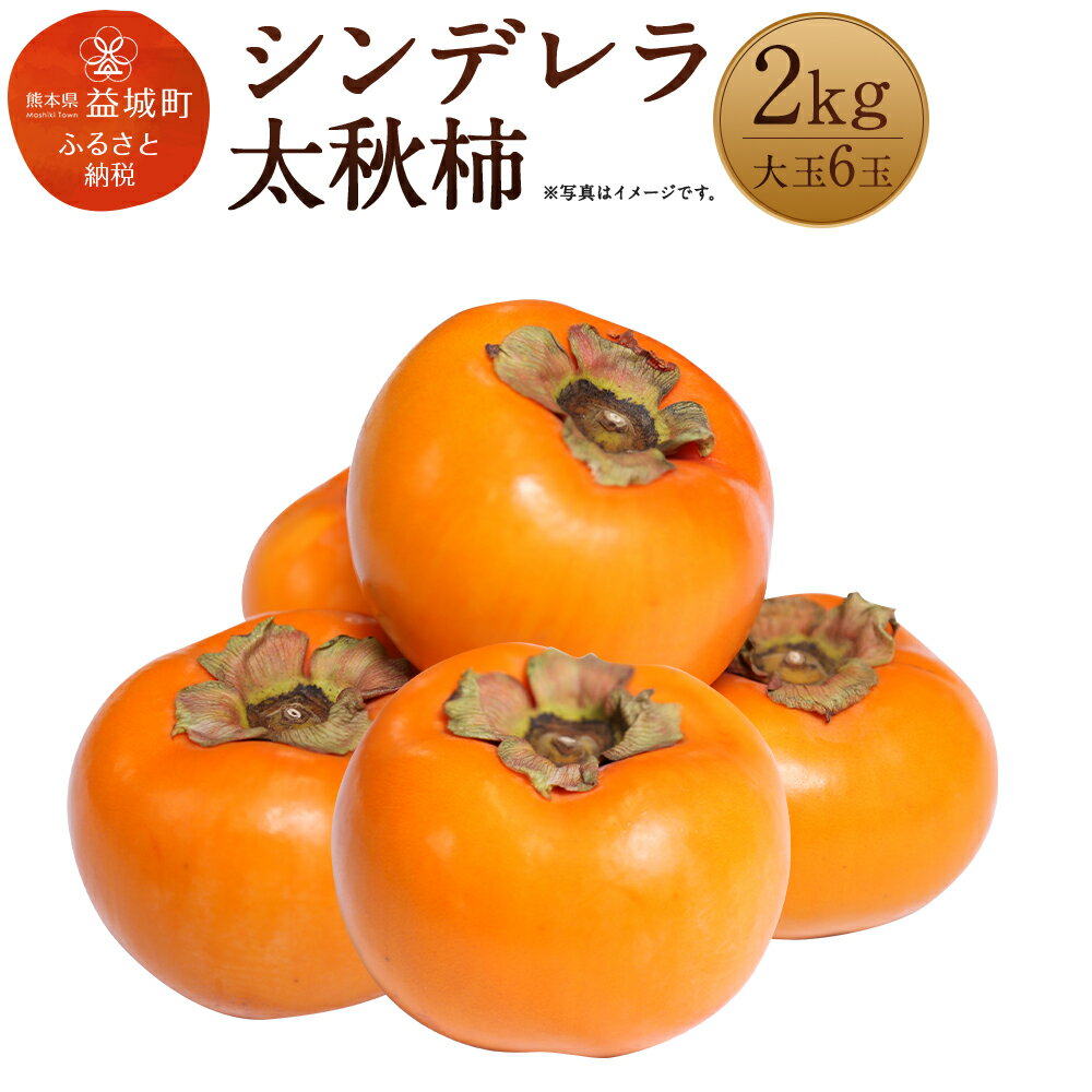 シンデレラ太秋柿 2kg 大玉6玉 化粧箱入り 福馬果樹園 フルーツ 果物 国産 熊本県産 ギフト 贈り物 送料無料【2025年11月上旬～12月下旬発送予定】