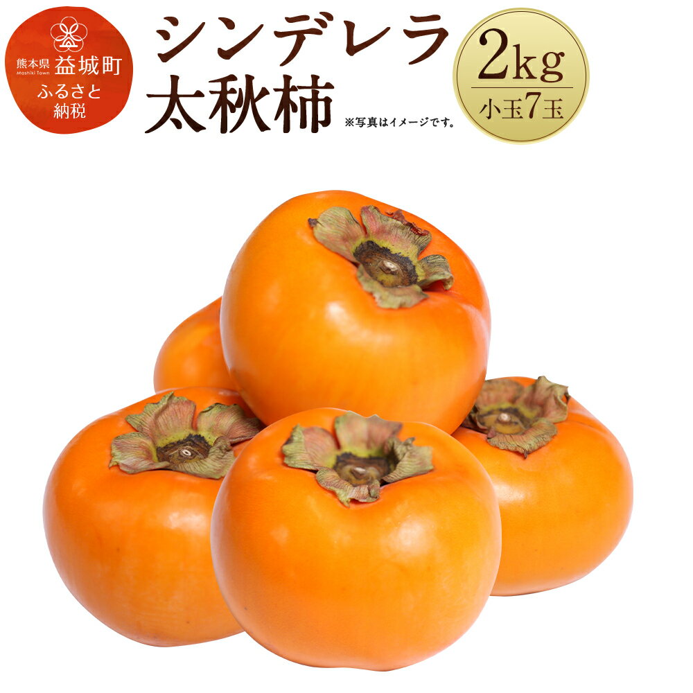 シンデレラ太秋柿 2kg 小玉7玉 化粧箱入り 福馬果樹園 フルーツ 果物 国産 熊本県産 ギフト 贈り物 送料無料【2025年11月上旬～12月下旬発送予定】