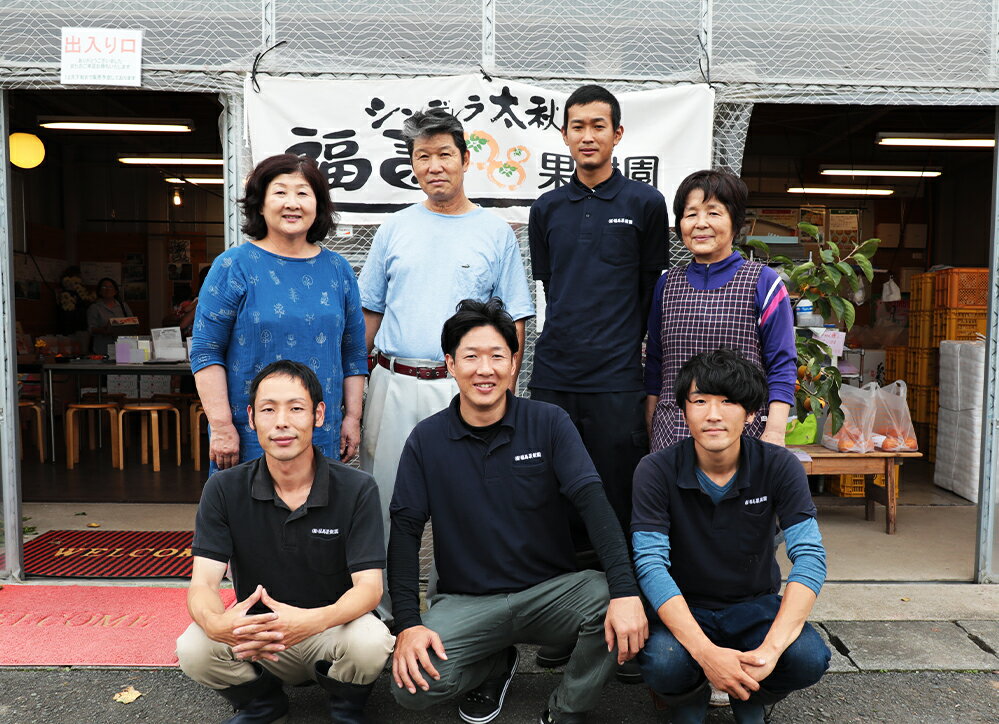 【ふるさと納税】サン太秋 約2kg 大玉5～6玉 柿 太秋柿 かき カキ 果物 フルーツ 九州産 熊本 化粧箱 ギフト 贈り物 送料無料【2025年10月下旬～12月上旬発送予定】 サムネイル3