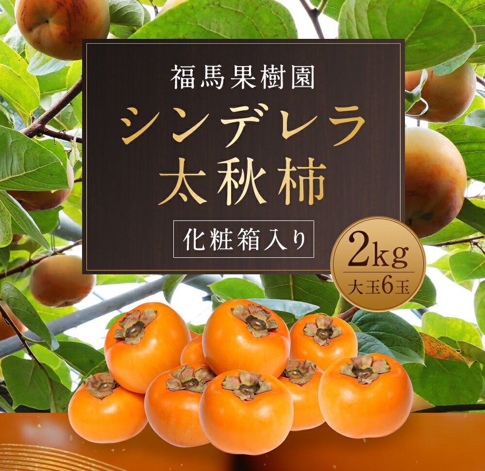 【ふるさと納税】シンデレラ太秋柿 2kg 大玉6玉 化粧箱入り 福馬果樹園 フルーツ 果物 国産 熊本県産 ギフト 贈り物 送料無料【2025年11月上旬～12月下旬発送予定】 サムネイル3