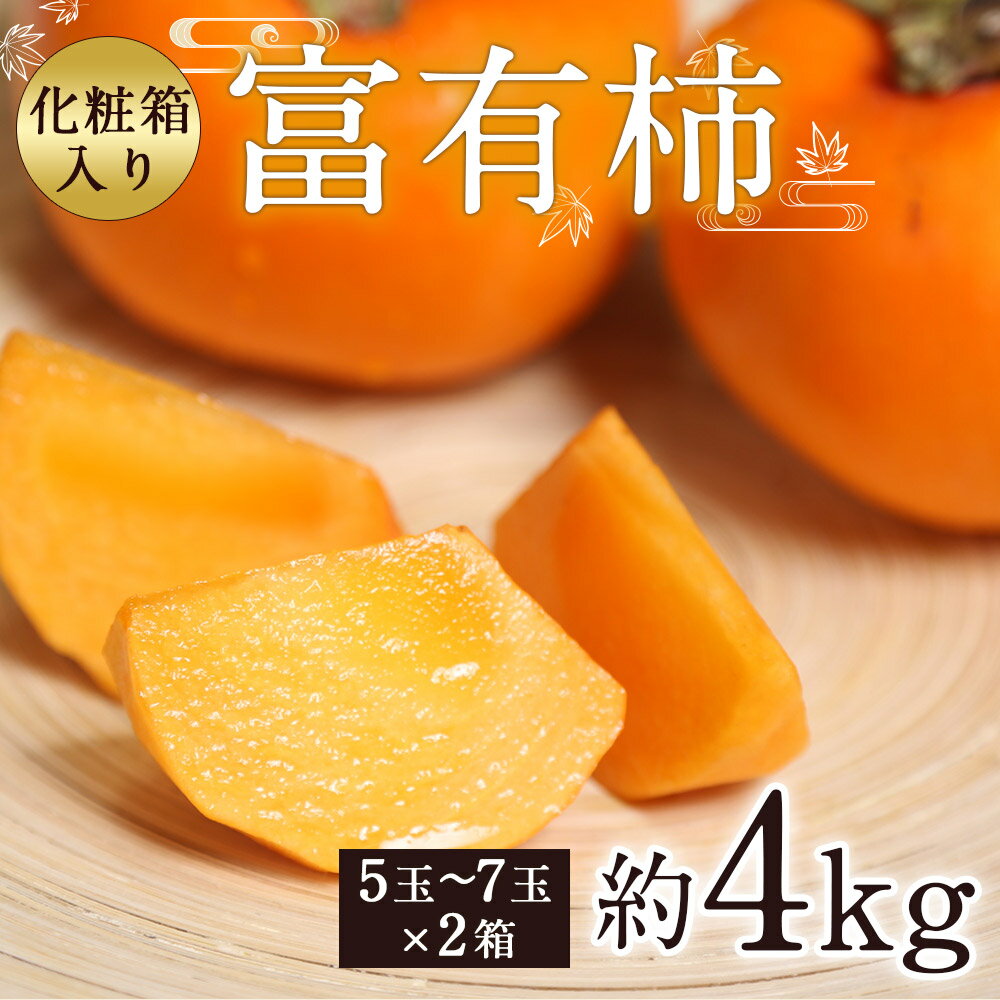 【ふるさと納税】富有柿 合計約4kg 1箱5〜7玉×2箱 特選化粧箱 柿 かき カキ 果物 フルーツ 九州産 熊本県産 ギフト 贈り物 送料無料【2025年11月上旬～12月下旬発送予定】 サムネイル2