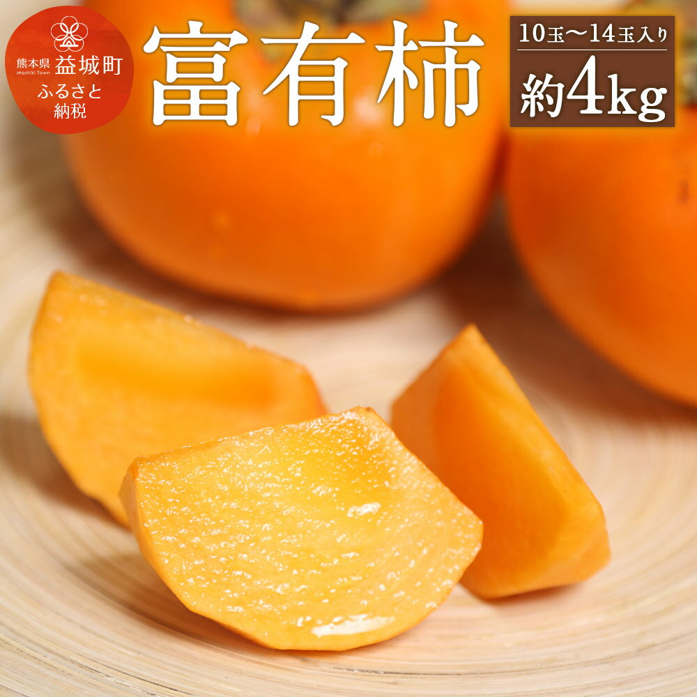 富有柿 合計約4kg 1箱5〜7玉×2箱 特選化粧箱 柿 かき カキ 果物 フルーツ 九州産 熊本県産 ギフト 贈り物 送料無料【2025年11月上旬～12月下旬発送予定】
