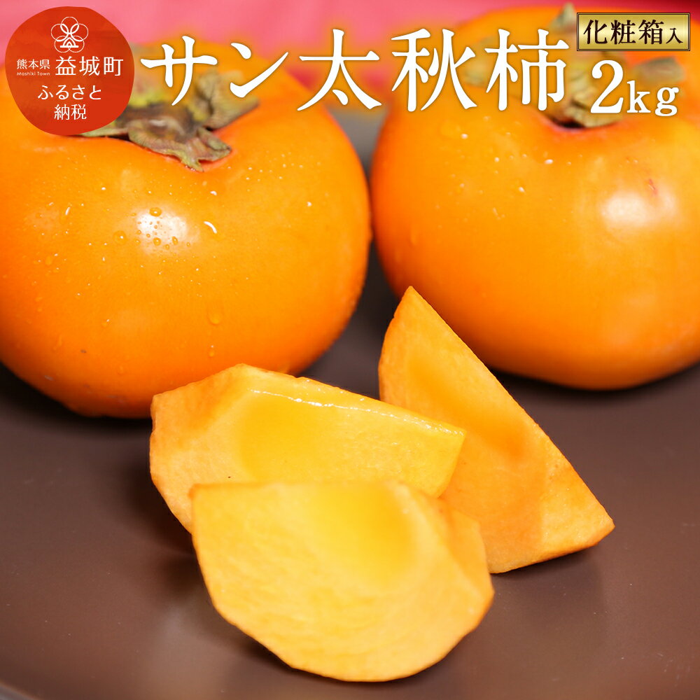 サン太秋 約2kg 大玉5～6玉 柿 太秋柿 かき カキ 果物 フルーツ 九州産 熊本 化粧箱 ギフト 贈り物 送料無料【2025年10月下旬～12月上旬発送予定】