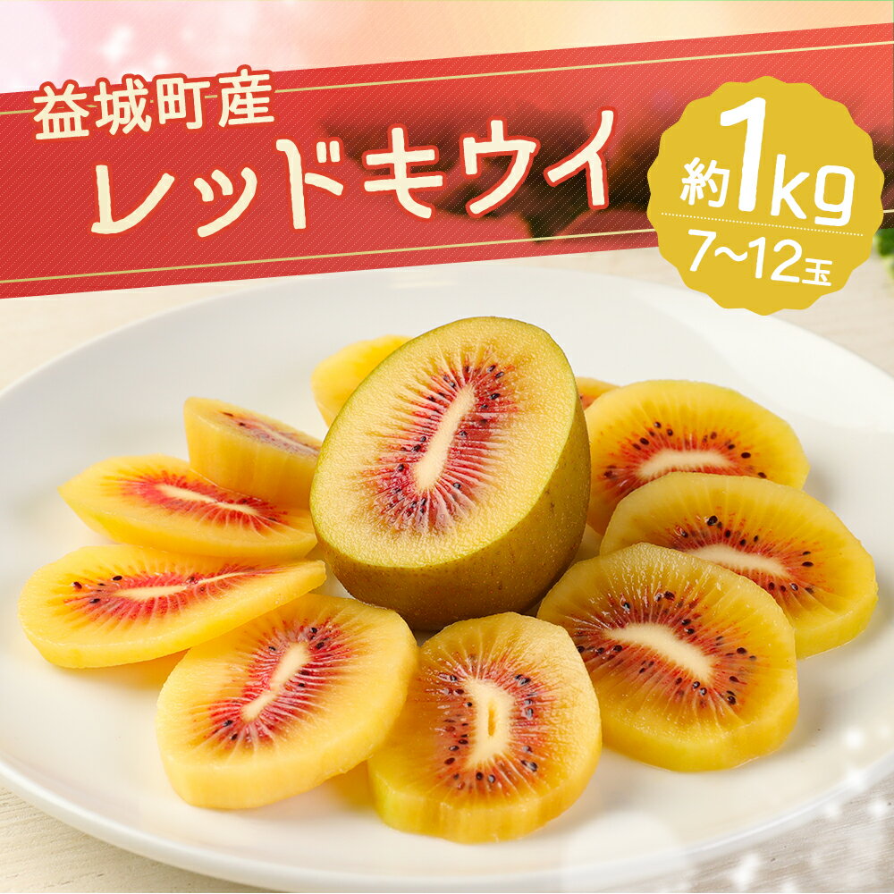 【ふるさと納税】益城町産 レッドキウイ 約1kg 7～12玉 フルーツ 果物 国産 熊本県産 益城町産 送料無料【12月19日までの入金確認で年内発送】【2025年10月下旬～2026年2月上旬順次発送予定】 サムネイル2