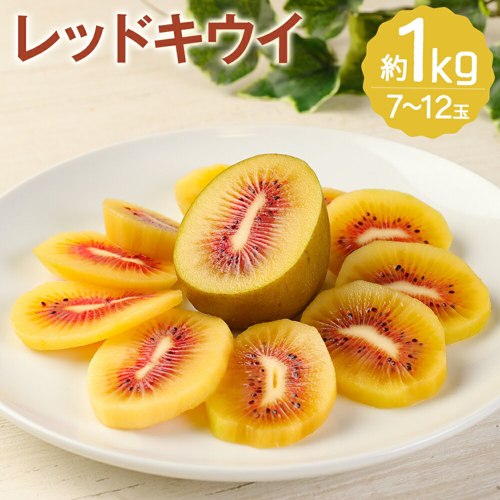 益城町産 レッドキウイ 約1kg 7～12玉 フルーツ 果物 国産 熊本県産 益城町産 送料無料【12月19日までの入金確認で年内発送】【2025年10月下旬～2026年2月上旬順次発送予定】
