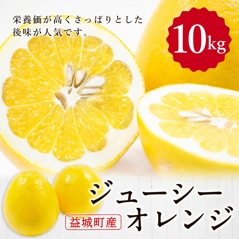 【ふるさと納税】ジューシーオレンジ 約10kg みかん ミカン 柑橘類 晩柑 果物 フルーツ 熊本県産 九州産 送料無料【2026年3月上旬～4月下旬まで発送予定】 サムネイル3
