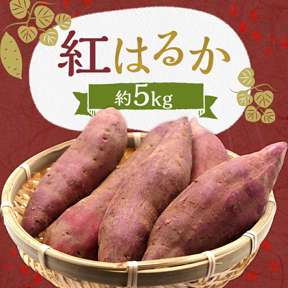 【ふるさと納税】紅はるか 約5kg さつまいも サツマイモ 野菜 いも 芋 べにはるか 熊本県産 九州産 送料無料 【2026年2月上旬～6月下旬発送予定】 - 画像2