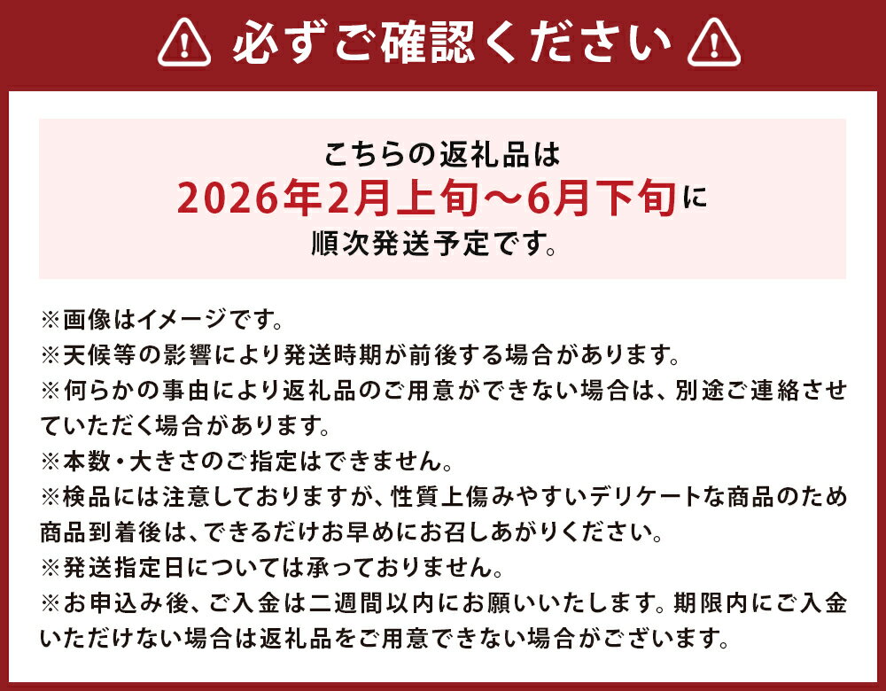 【ふるさと納税】紅はるか 約5kg さつまいも サツマイモ 野菜 いも 芋 べにはるか 熊本県産 九州産 送料無料 【2026年2月上旬～6月下旬発送予定】 - 画像3