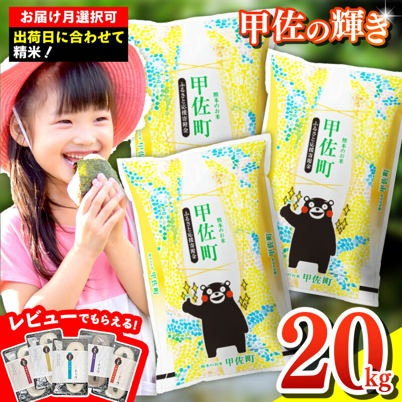 【先行受付】新米 令和7年産『甲佐の輝き』精米20kg（5kg×4袋）【配送月指定可！】／出荷日に合わせて精米 - 国産 白米 精米 お米 ブレンド米 複数原料米 訳あり 厳選 マイスター 生活応援 おすすめ 熊本県 甲佐町 【価格改定ZM】