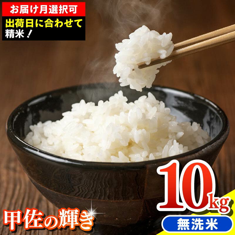 令和7年産『甲佐の輝き』無洗米10kg（5kg×2袋）【配送月選択可！】／出荷日に合わせて精米 - 国産 白米 無洗米 お米 ブレンド米 複数原料米 訳あり 厳選 マイスター 生活応援 おすすめ 熊本県 甲佐町 【価格改定XK】