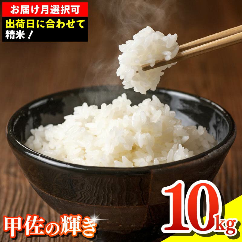 【先行受付】新米 令和7年産『甲佐の輝き』精米10kg（5kg×2袋）【配送月指定可！】／出荷日に合わせて精米- 国産 白米 精米 お米 ブレンド米 複数原料米 訳あり 厳選 マイスター 生活応援 ひのひかり 森のくまさん おすすめ 熊本県 甲佐町【価格改定XM】