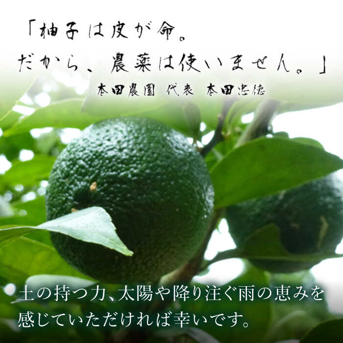 【ふるさと納税】柚木ポン酢 200ml 2本 ゆず丸搾り 200ml 1本 ポン酢 ゆずポン酢 ゆずポン 完熟柚子 さっぱり 柑橘 果汁 酢の物 すし酢 酸味付け 柚子湯 柚子蜜 調味料 国産 九州産 熊本県産 山都町産 熊本 山都町 ドレッシング【本田農園】[YDL010] サムネイル3