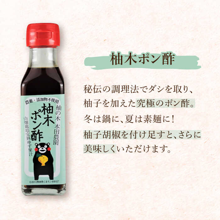 【ふるさと納税】【全6回定期便】ゆずぺっぱぁ 辛口 120ml 柚木ポン酢 120ml 各2本 柚子 ゆず ポン酢 ゆずポン酢 ゆずポン ピリ辛 液体柚子胡椒 タレ ドレッシング 調味料 国産 九州産 熊本県産 山都町産 熊本 山都町【本田農園】[YDL026] サムネイル3