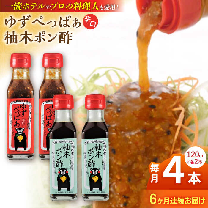 【全6回定期便】ゆずぺっぱぁ 辛口 120ml 柚木ポン酢 120ml 各2本 柚子 ゆず ポン酢 ゆずポン酢 ゆずポン ピリ辛 液体柚子胡椒 タレ ドレッシング 調味料 国産 九州産 熊本県産 山都町産 熊本 山都町【本田農園】[YDL026]