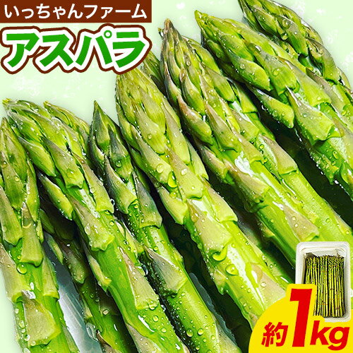 アスパラガス 約1kg いっちゃんファーム《3月上旬-9月下旬頃出荷》熊本県 氷川町 氷川産 野菜 アスパラガス アスパラ