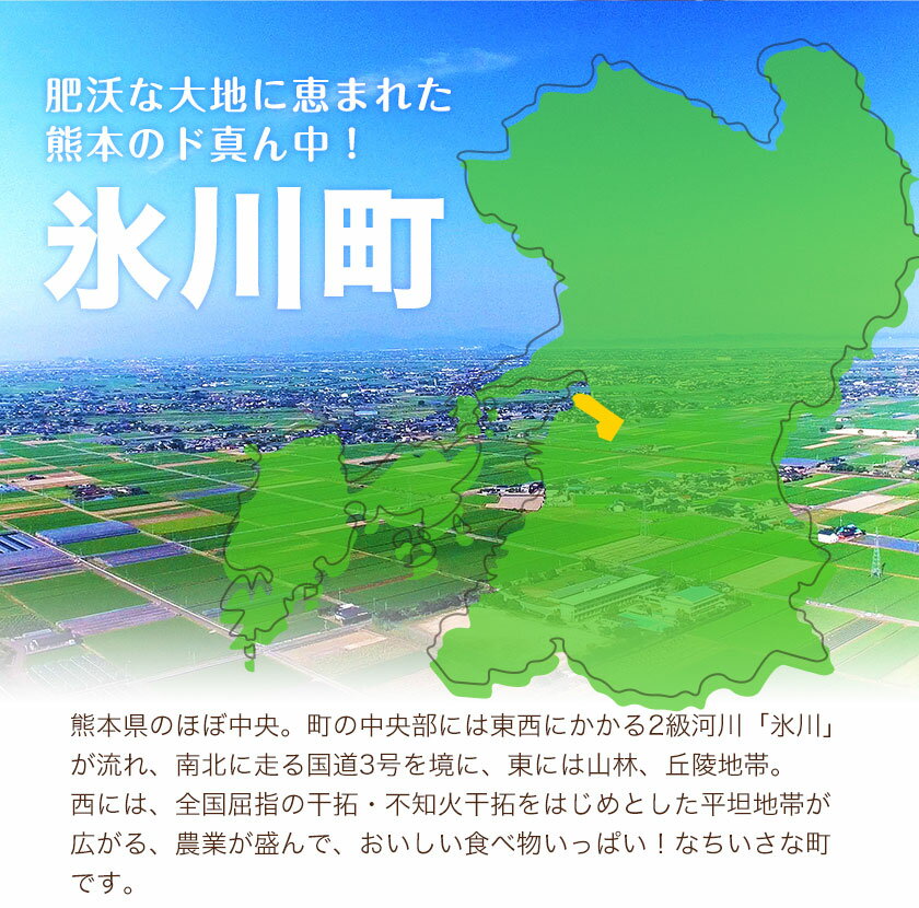 【ふるさと納税】大容量 鶏肉 発送時期が選べる 鶏もも 高レビュー! 鶏もも肉 4kg 熊本県産 若鶏もも肉 約2kg×2袋 《30日以内に出荷予定(土日祝除く)》 肉 鶏肉 若鶏 国産 真空 冷凍 冷凍庫 鳥 鳥肉 鳥もも 鳥もも肉 モモ モモ肉 鶏モモ肉 若鶏モモ サムネイル3