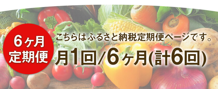 【ふるさと納税】6ヶ月定期便 旬の新鮮野菜・果物詰合せセット(計6回お届け) たっぷり8-12品目 熊本県氷川町産 道の駅竜北《お申込み月の翌月から出荷開始》 - 画像2