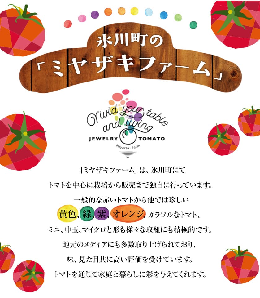 【ふるさと納税】「ミヤザキファーム」 宝石とまと1.2kg 熊本県氷川町産《12月上旬-6月末頃出荷》 小鈴 アイコ イエローアイコ オレンジ千果 みどりちゃん セレブスイート グリーンゼブラ 桃太郎ゴールド トスカーナバイオレット マイクロトマト - 画像3