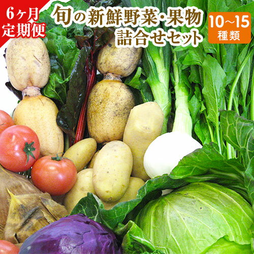 6ヶ月定期便 旬の新鮮野菜・果物詰合せセット(計6回お届け) たっぷり10-15品目 熊本県氷川町産 道の駅竜北《お申込み月の翌月から出荷開始》