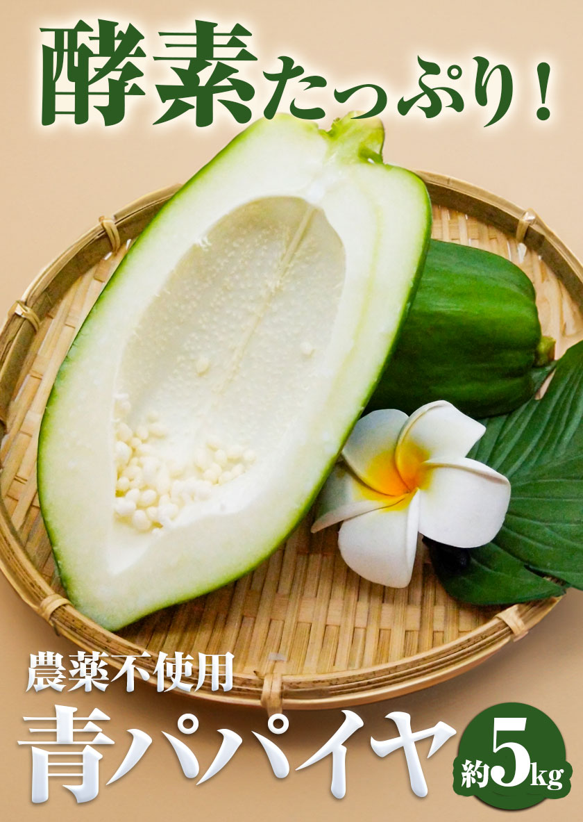 【ふるさと納税】 パパイヤ 青パパイヤ パパイア 野菜 健康野菜 5kg ゆいやわす《9月下旬-12月中旬頃出荷》熊本県 葦北郡 津奈木町 国産 人気 お試し カレー お味噌汁 炒め物 サラダ に 酵素 食物繊維 たっぷり サムネイル2