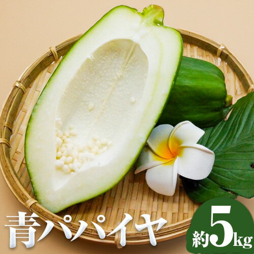 パパイヤ 青パパイヤ パパイア 野菜 健康野菜 5kg ゆいやわす《9月下旬-12月中旬頃出荷》熊本県 葦北郡 津奈木町 国産 人気 お試し カレー お味噌汁 炒め物 サラダ に 酵素 食物繊維 たっぷり