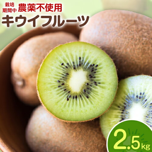 キウイフルーツ 2.5kg ゆいやわす《11月上旬-4月末頃出荷予定(土日祝を除く)》熊本県 葦北郡 津奈木町 キウイ フルーツ 新鮮 食物繊維 国産