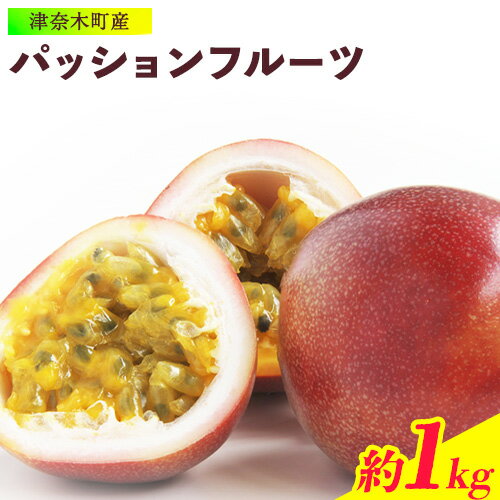 【先行予約】津奈木町産 パッションフルーツ 約1kg(12〜16個) つなぎ南興FARM《2026年7月上旬-7月中旬頃出荷》フルーツ 果物 熱帯果樹栽培 バニラアイス ヨーグルト 練乳