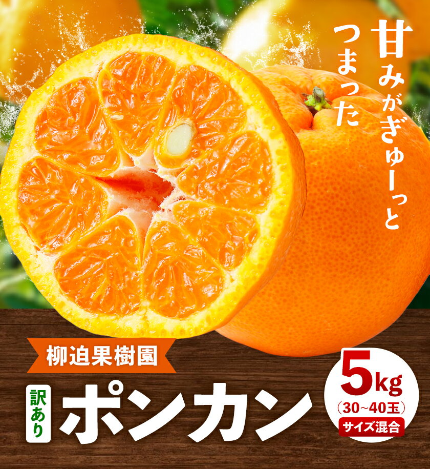 【ふるさと納税】訳あり ポンカン 5kg 30~40玉 サイズ混合 《2月中旬-3月中旬出荷予定(土日祝除く)》熊本県 葦北郡 津奈木町 ポンカン みかん 柑橘 送料無料 サムネイル2
