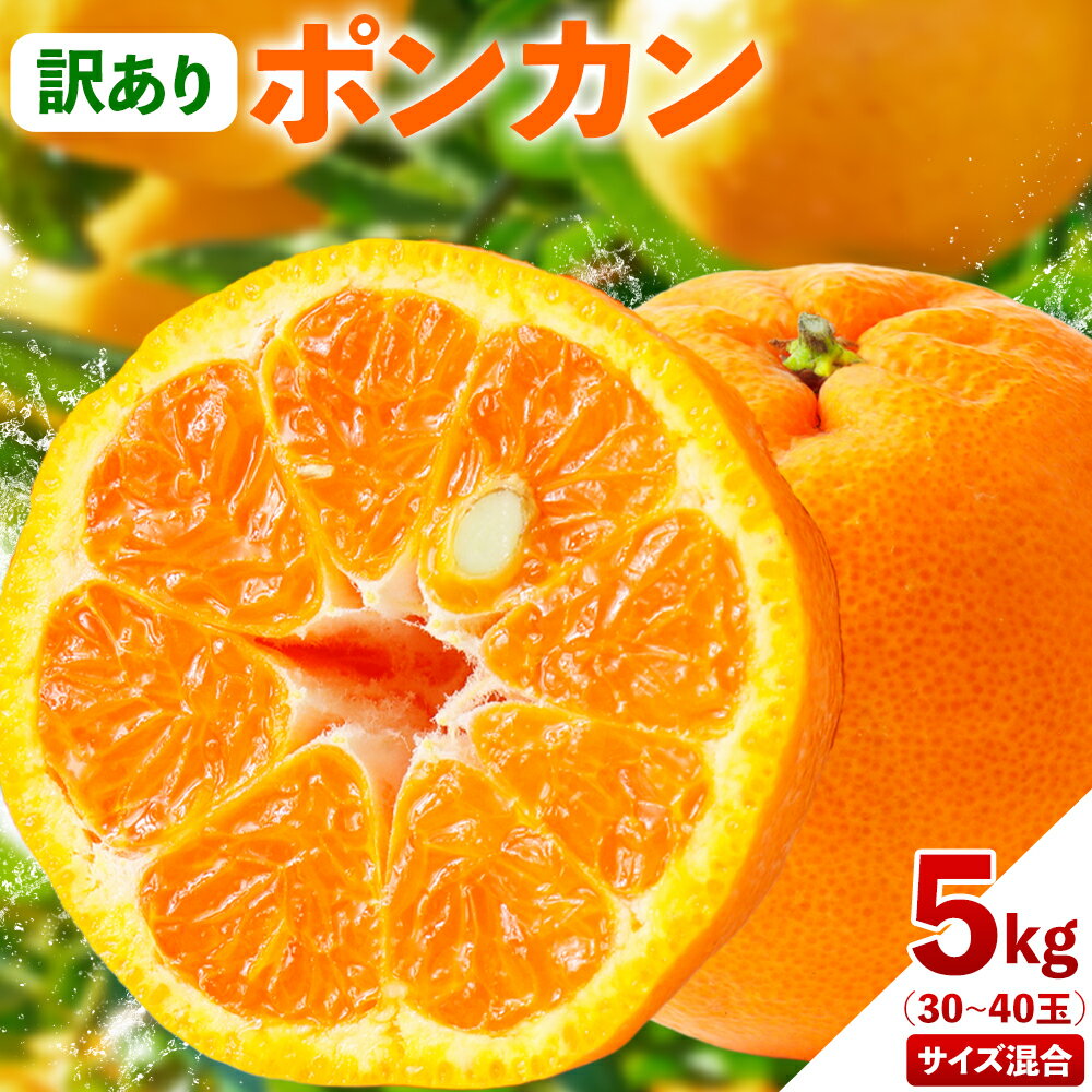 訳あり ポンカン 5kg 30~40玉 サイズ混合 《2月中旬-3月中旬出荷予定(土日祝除く)》熊本県 葦北郡 津奈木町 ポンカン みかん 柑橘 送料無料