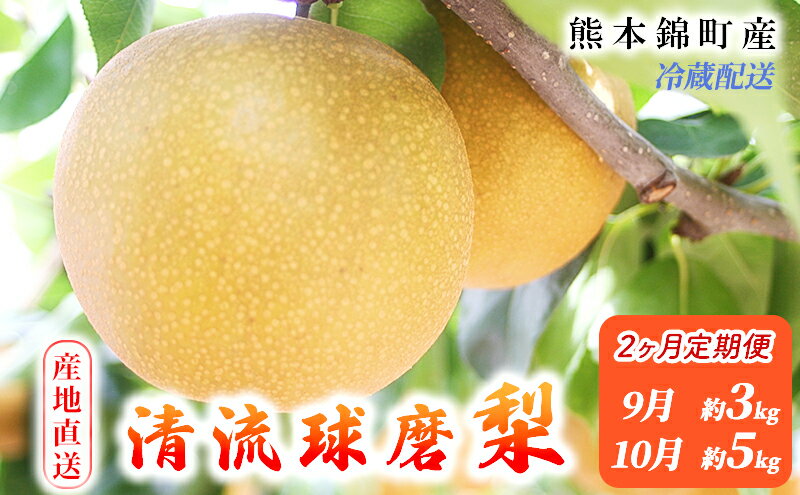 【ふるさと納税】定期便 2回 先行予約 梨 清流錦 あきづき 9月 3kg 新興 10月 5kg フルーツ なし ナシ 果物 デザート 秋月 お楽しみ2026年発送 配送不可:離島 　お届け：2026年9月初旬～10月下旬 - 画像2