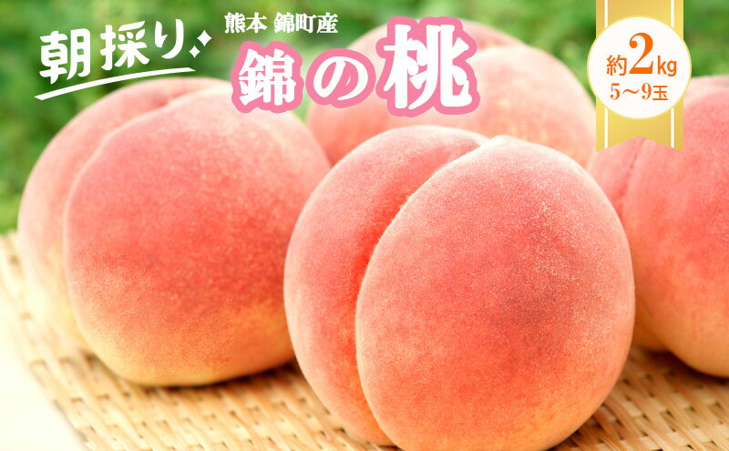 【ふるさと納税】桃 白桃 先行予約 錦の桃 2kg 約5玉～9玉 もも モモ フルーツ 果物 デザート 2025年発送 鎌木果樹園 配送不可:離島 　お届け：2026年7月上旬～8月中旬 - 画像2