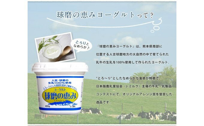 【ふるさと納税】リキュール 特濃ヨーグルト とろ～り くまモンデザイン 箱付き 500ml 6本 お酒 洋酒 贈り物 本格米焼酎使用 爽やかな酸味 濃厚なコク 程よい甘み サムネイル3
