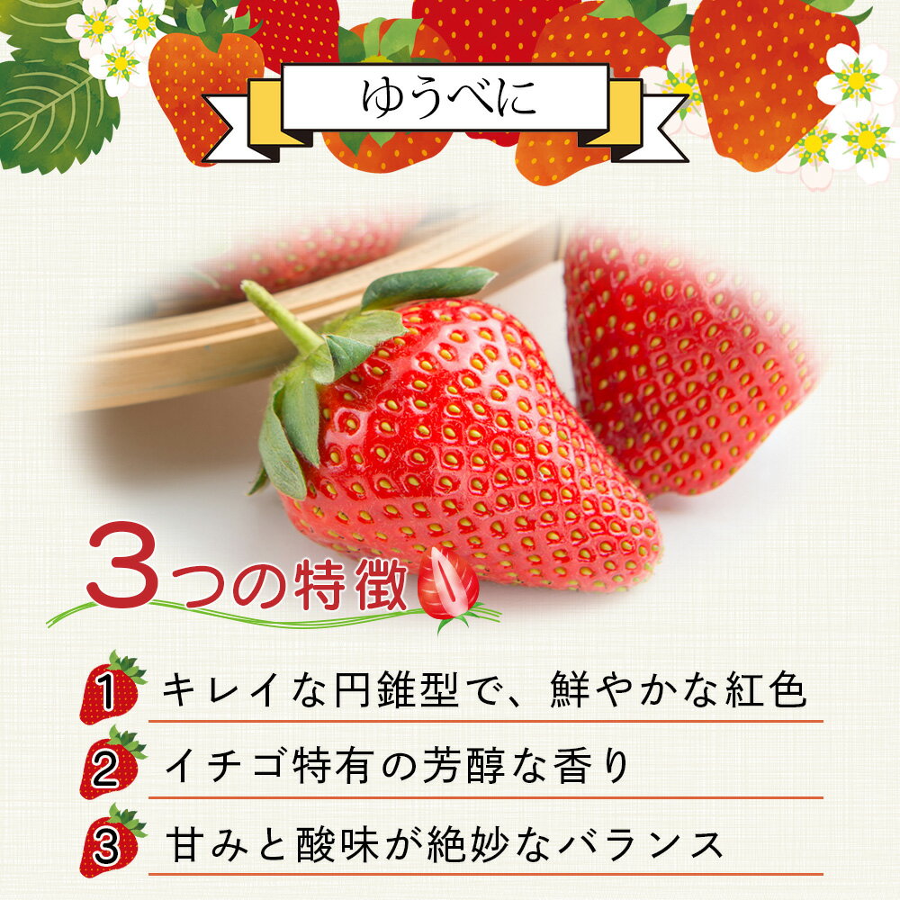 【ふるさと納税】熊本県産 いちご 《品種と容量選べる》約260g×2～4パック 2026年1月～発送 ゆうべに 恋みのり ひのしずく 白イチゴ 食べ比べ 坂下農園 産地直送 国産 新鮮 フレッシュ イチゴ 苺 フルーツ 果物 春 名産 熊本 多良木町 くだもの 果実 送料無料 サムネイル3