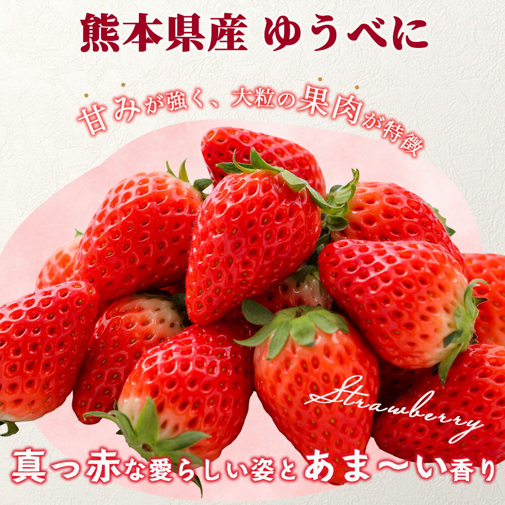 【ふるさと納税】＼2026年出荷分／ 熊本県産 いちご ゆうべに 1箱 (250g×4パック) 計1kg 先行予約 イチゴ 果物 フルーツ 熊本県 多良木町 農園直送 新鮮 フレッシュ イチゴ パック 苺 フルーツ 果物 春 名産 ビタミン 旬 くだもの 果実 【2026年3月～発送】 送料無料 サムネイル2