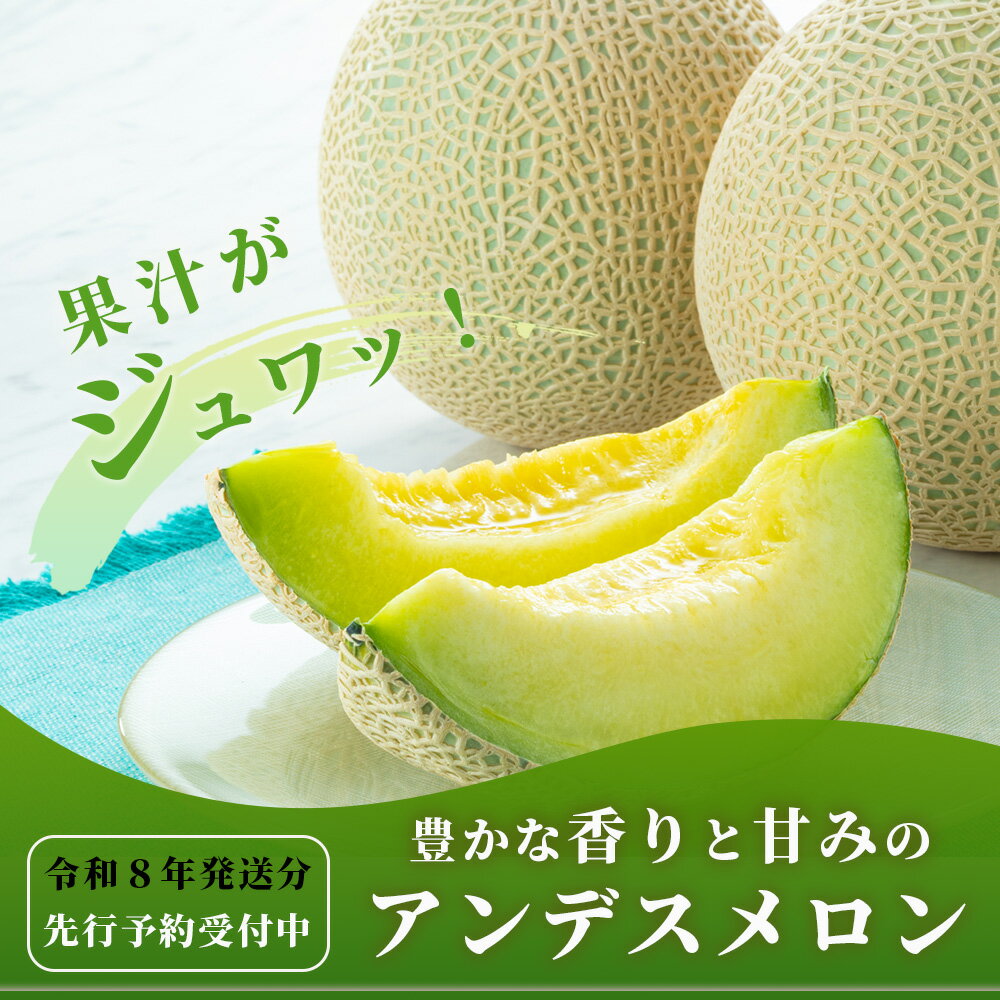 【ふるさと納税】《2026年発送分 先行予約》 アンデスメロン 4玉〜6玉 合計 約5kg アンデス メロン 甘い 果物 フルーツ 果実 ジュージー 国産 熊本県産 熊本県 多良木町 送料無料 サムネイル3