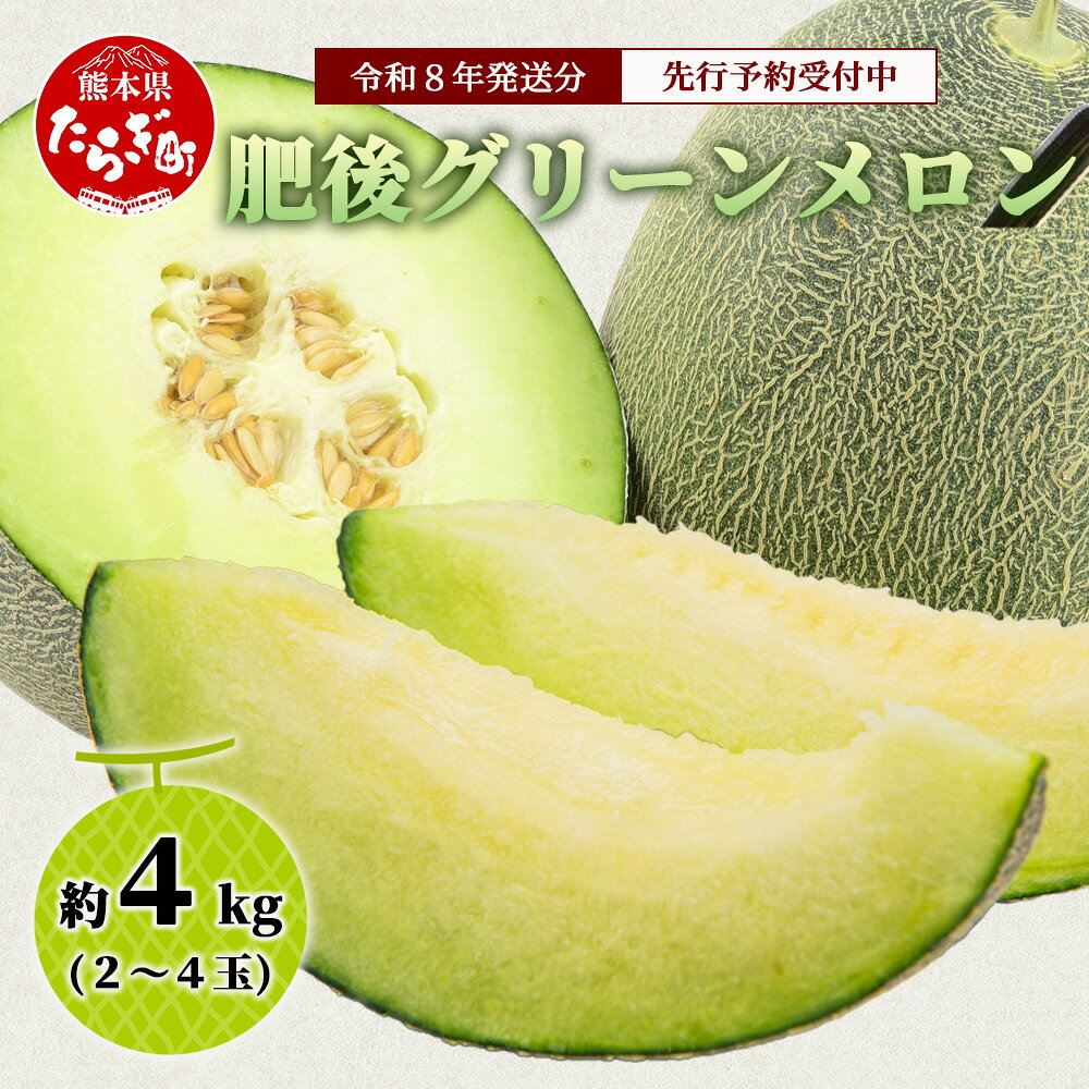 《2026年発送分 先行予約》 肥後グリーンメロン 2玉〜4玉 合計 約4kg 肥後グリーン メロン 甘い 果物 フルーツ 果実 ジュージー 国産 熊本県産 熊本県 多良木町 送料無料