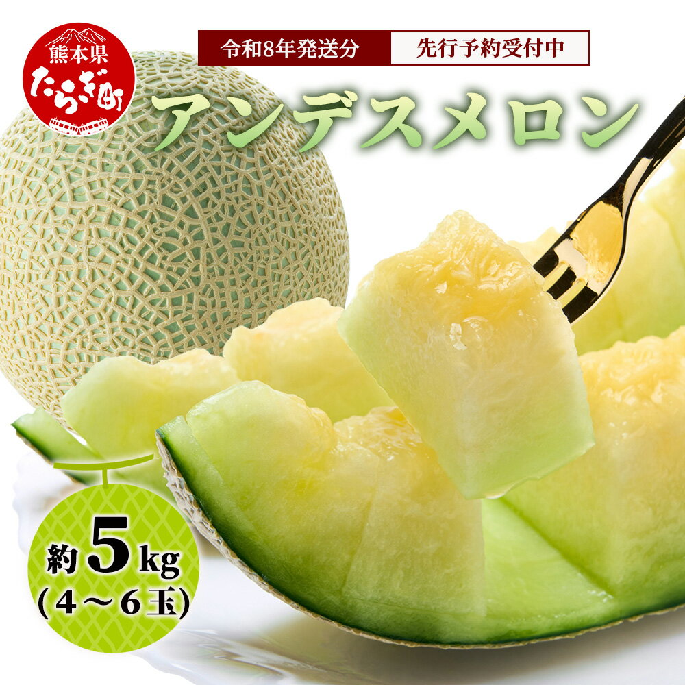 《2026年発送分 先行予約》 アンデスメロン 4玉〜6玉 合計 約5kg アンデス メロン 甘い 果物 フルーツ 果実 ジュージー 国産 熊本県産 熊本県 多良木町 送料無料