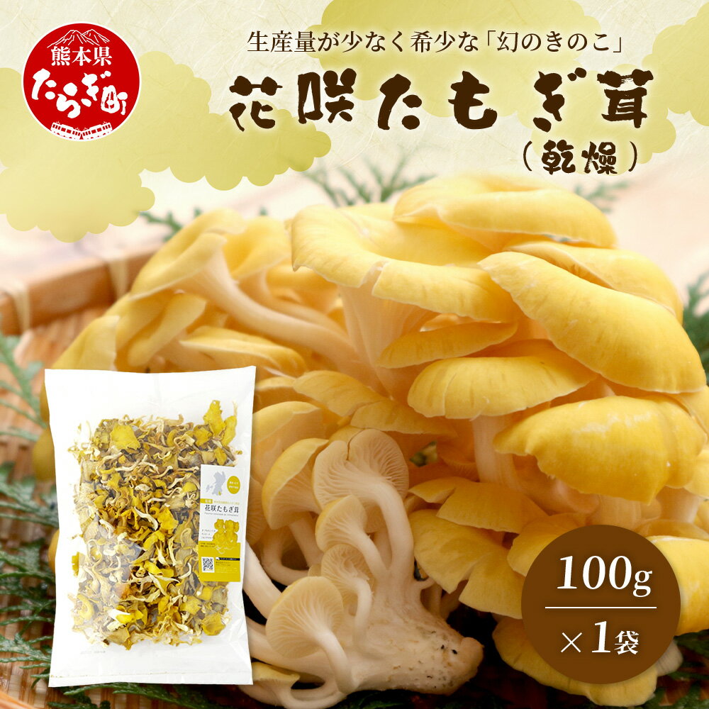 無農薬栽培【花咲 たもぎ茸 (乾燥) 100g 】幻 キノコ タモギダケ ヒラタケ 健康 栄養豊富 出汁 だし エルゴチオネイン タモギ茸 健康 栄養豊富 たもぎ 国産原料 健康維持 天然素材 送料無料