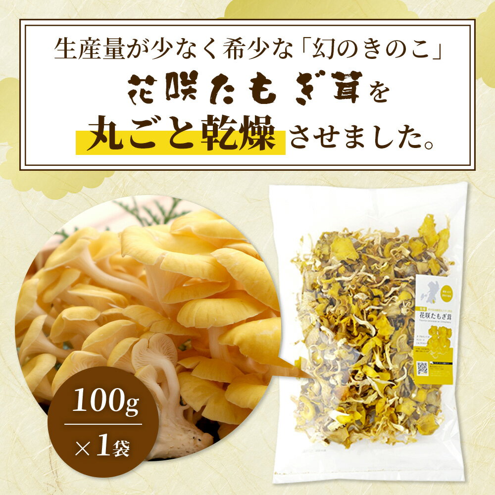 【ふるさと納税】無農薬栽培【花咲 たもぎ茸 (乾燥) 100g 】幻 キノコ タモギダケ ヒラタケ 健康 栄養豊富 出汁 だし エルゴチオネイン タモギ茸 健康 栄養豊富 たもぎ 国産原料 健康維持 天然素材 送料無料 - 画像2