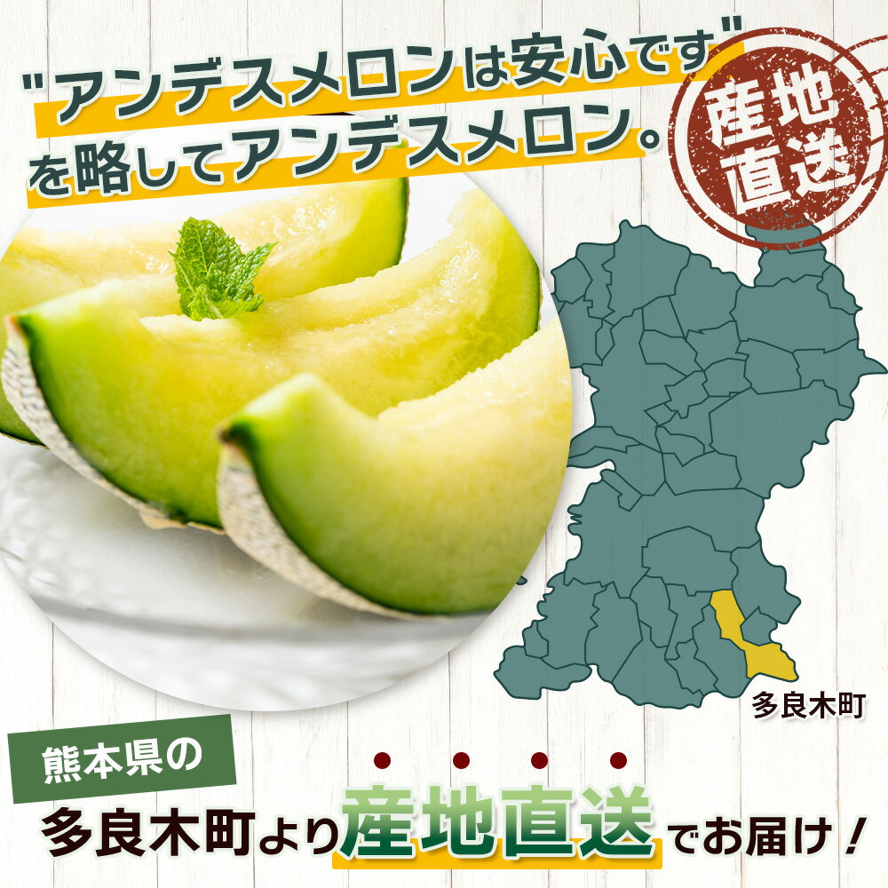 【ふるさと納税】《2026年発送分 先行予約》 アンデスメロン 合計5kg アンデス メロン 甘い 果物 フルーツ 果実 ジュージー 国産 熊本県産 熊本県 多良木町 先行予約 5kg 青肉 期間限定 数量限定 送料無料 サムネイル3