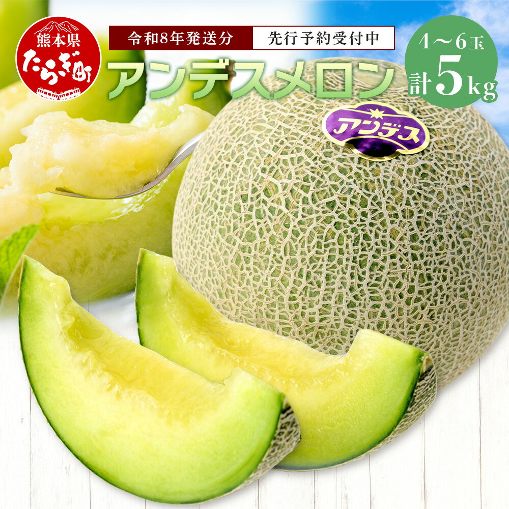 《2026年発送分 先行予約》 アンデスメロン 合計5kg アンデス メロン 甘い 果物 フルーツ 果実 ジュージー 国産 熊本県産 熊本県 多良木町 先行予約 5kg 青肉 期間限定 数量限定 送料無料