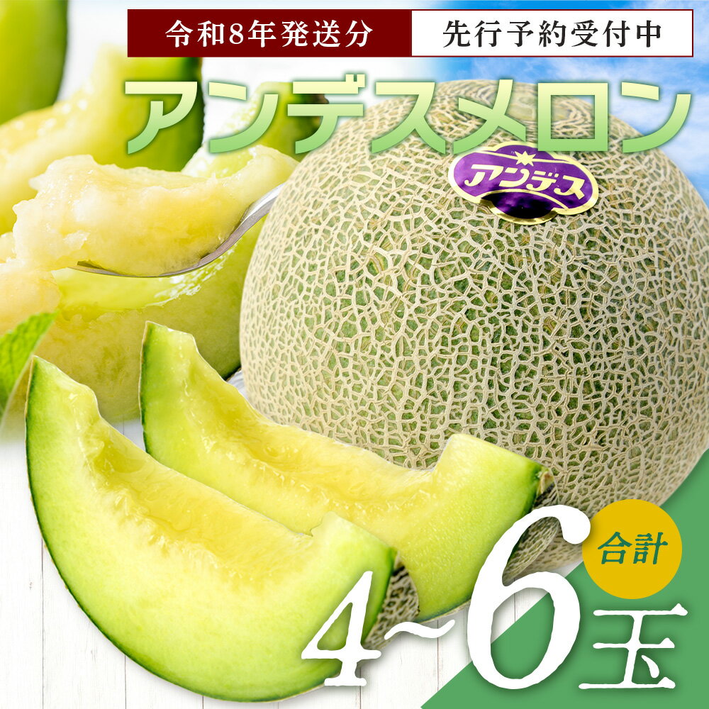【ふるさと納税】《2026年発送分 先行予約》 アンデスメロン 合計5kg アンデス メロン 甘い 果物 フルーツ 果実 ジュージー 国産 熊本県産 熊本県 多良木町 先行予約 5kg 青肉 期間限定 数量限定 送料無料 サムネイル2