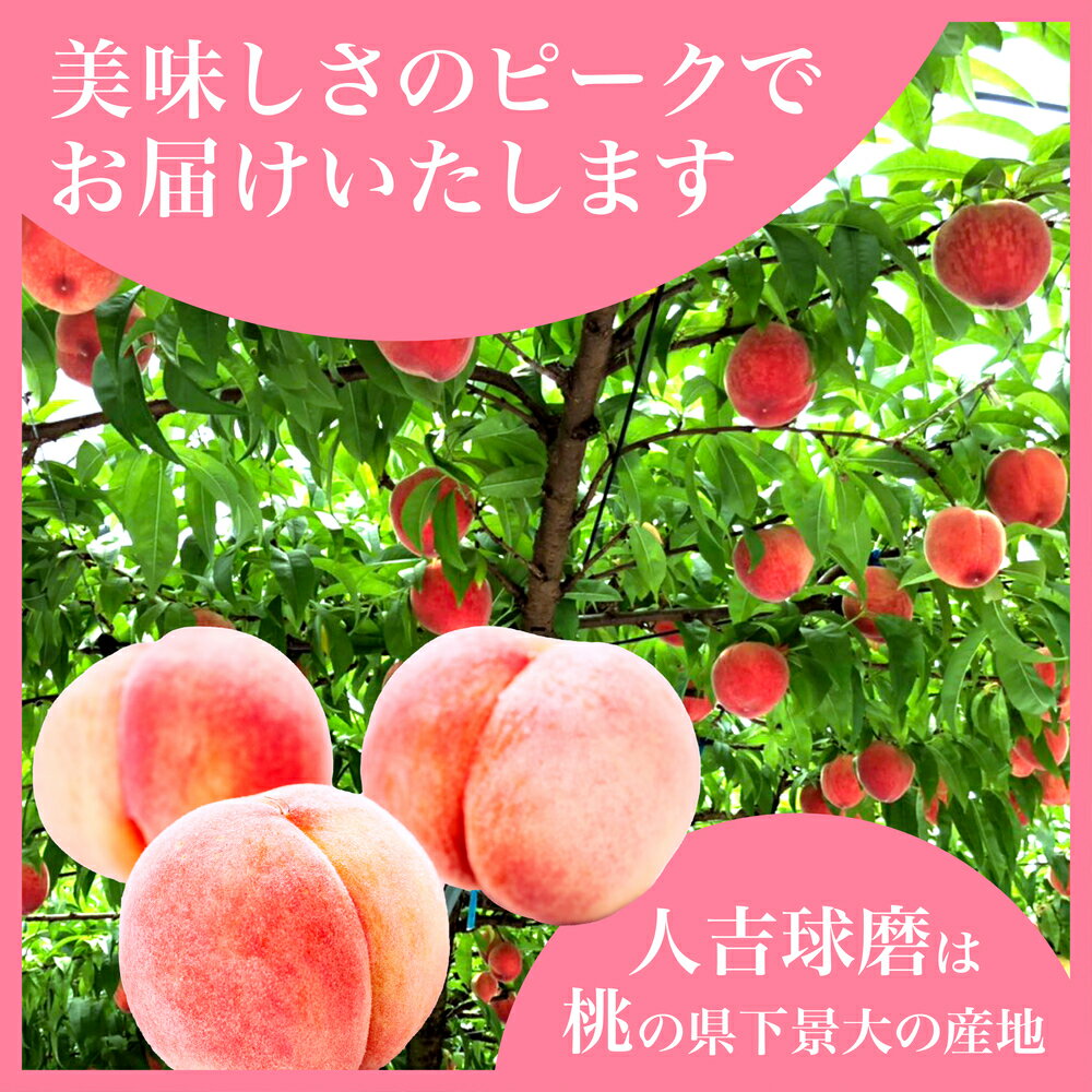 【ふるさと納税】《先行予約》 桃 約2kg もも 5～8玉入り 《2026年6月下旬～順次発送》 フルーツ 果物 デザート 九州産 熊本県産 旬 モモ もも ピーチ 熊本県 多良木町 国産 送料無料 2キロ 甘い ジューシー 果実 果肉 お取り寄せ サムネイル3
