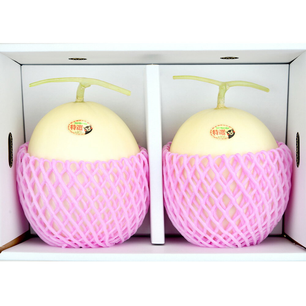 【ふるさと納税】≪2026年 先行予約≫ 熊本県産 ホームラン メロン キング(王) 2玉 合計3.2kg以上 糖度15～16度 果物 フルーツ 甘い さわやか 大玉 熊本県 多良木町 送料無料 【2026年5月上旬より順次発送】 サムネイル2