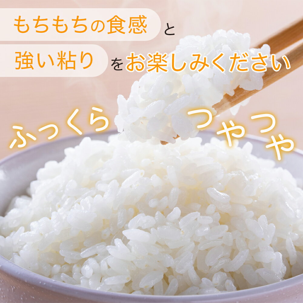 【ふるさと納税】令和7年産 米 にこまる 5kg 精米 熊本県 米どころ 多良木町 均ちゃん農園 直送 お米 5キロ 受賞米 白米 ご飯 お米 配送月 送料無料 - 画像3