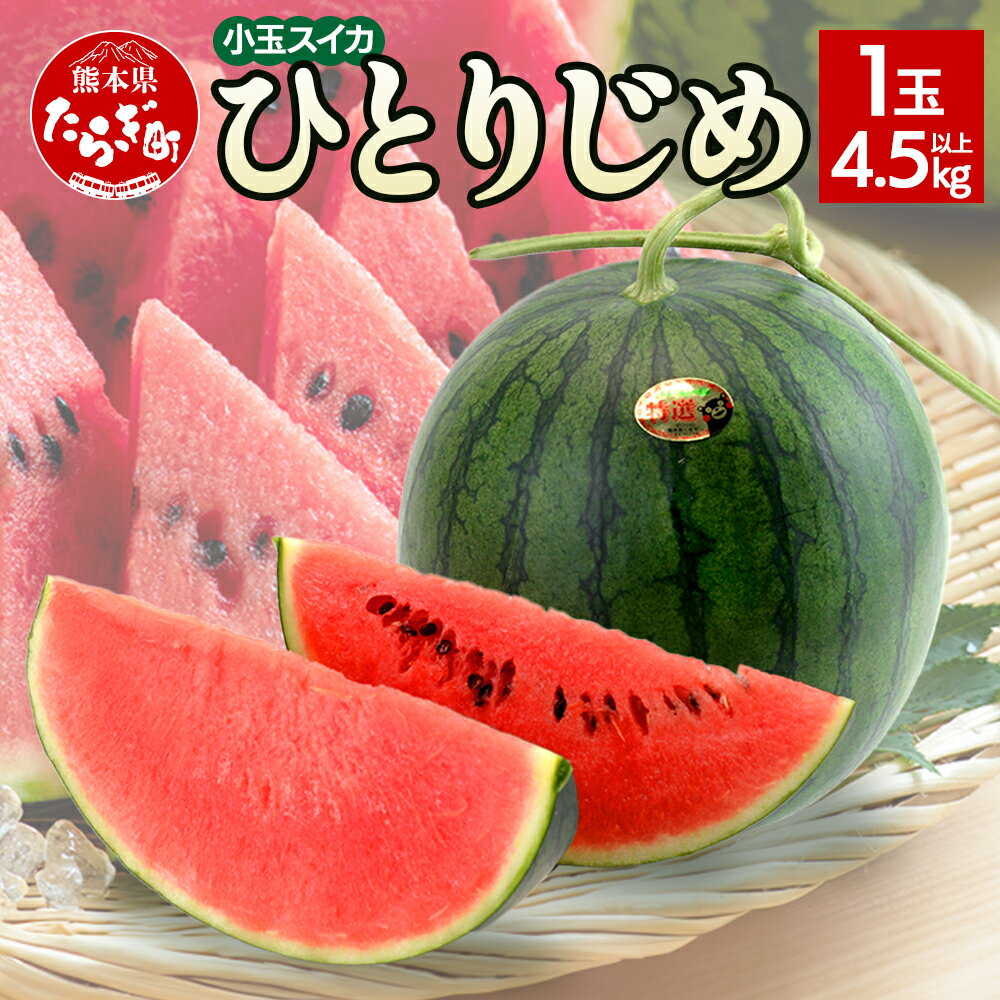 《先行予約》5月上旬〜順次発送 熊本県産 小玉 スイカ ひとりじめ 1玉 【4.5kg以上】 すいか 果物 フルーツ 甘い 熊本県 多良木町 ひとりじめ かわいい 食べきりサイズ 送料無料 2026年5月上旬より順次発送